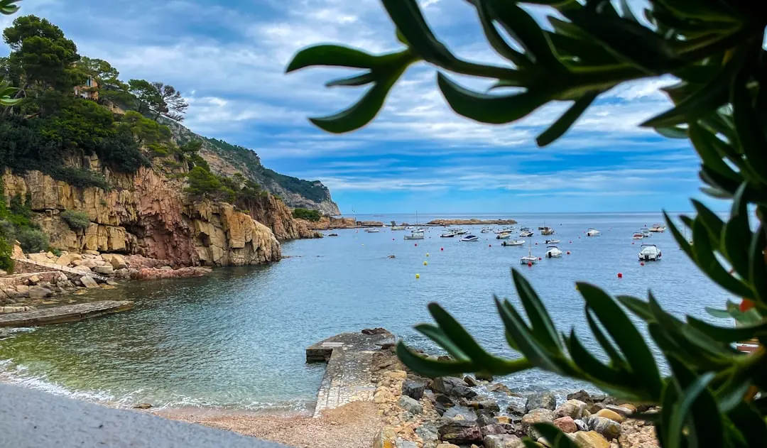 Blick durch grüne Blätter auf eine malerische Mittelmeerbucht mit Booten und steilen Felsklippen an der Costa Brava