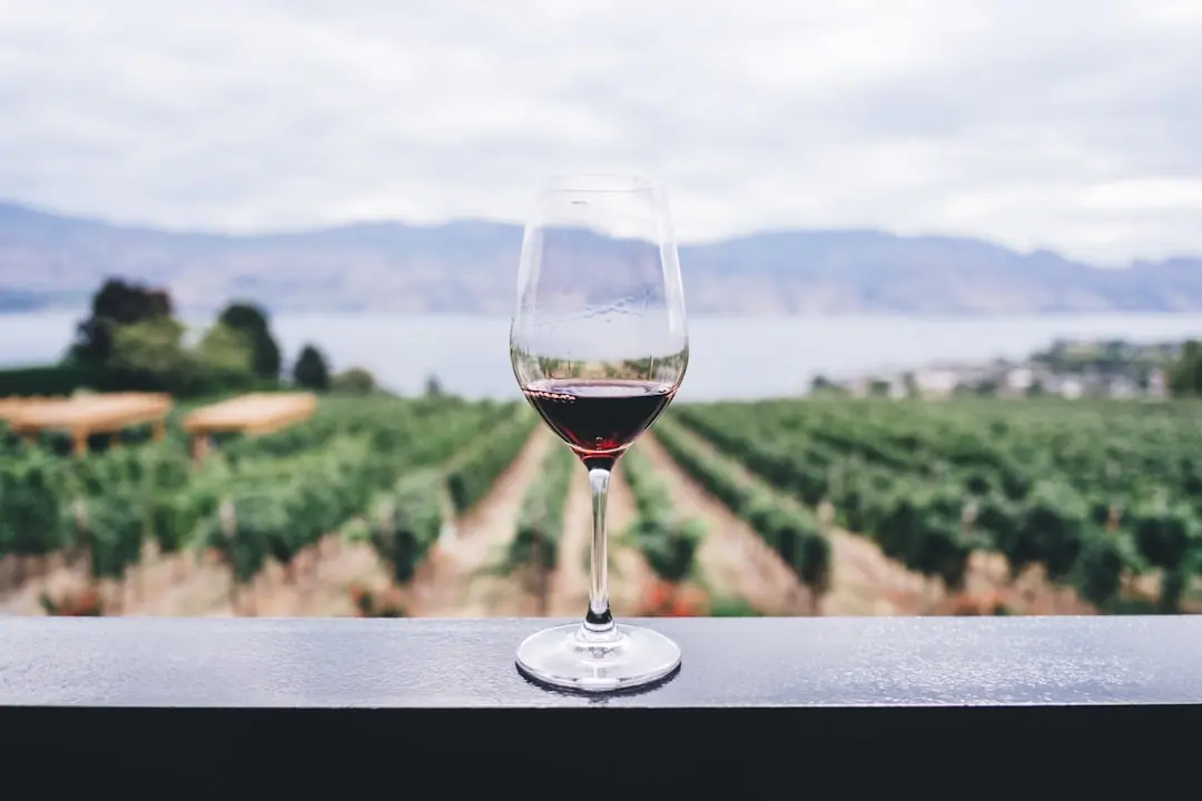 Ein Glas Rotwein steht auf einem Geländer vor weitläufigen Weinreben und Bergen an einem Gewässer